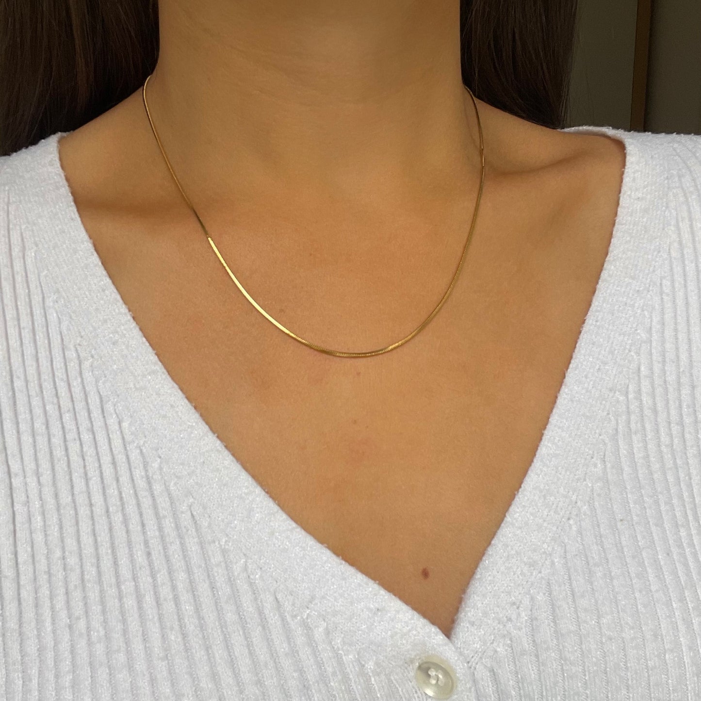 Snake Chain Necklace