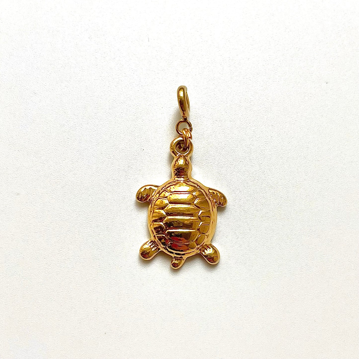 Tortoise Charm