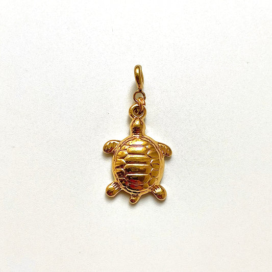 Tortoise Charm