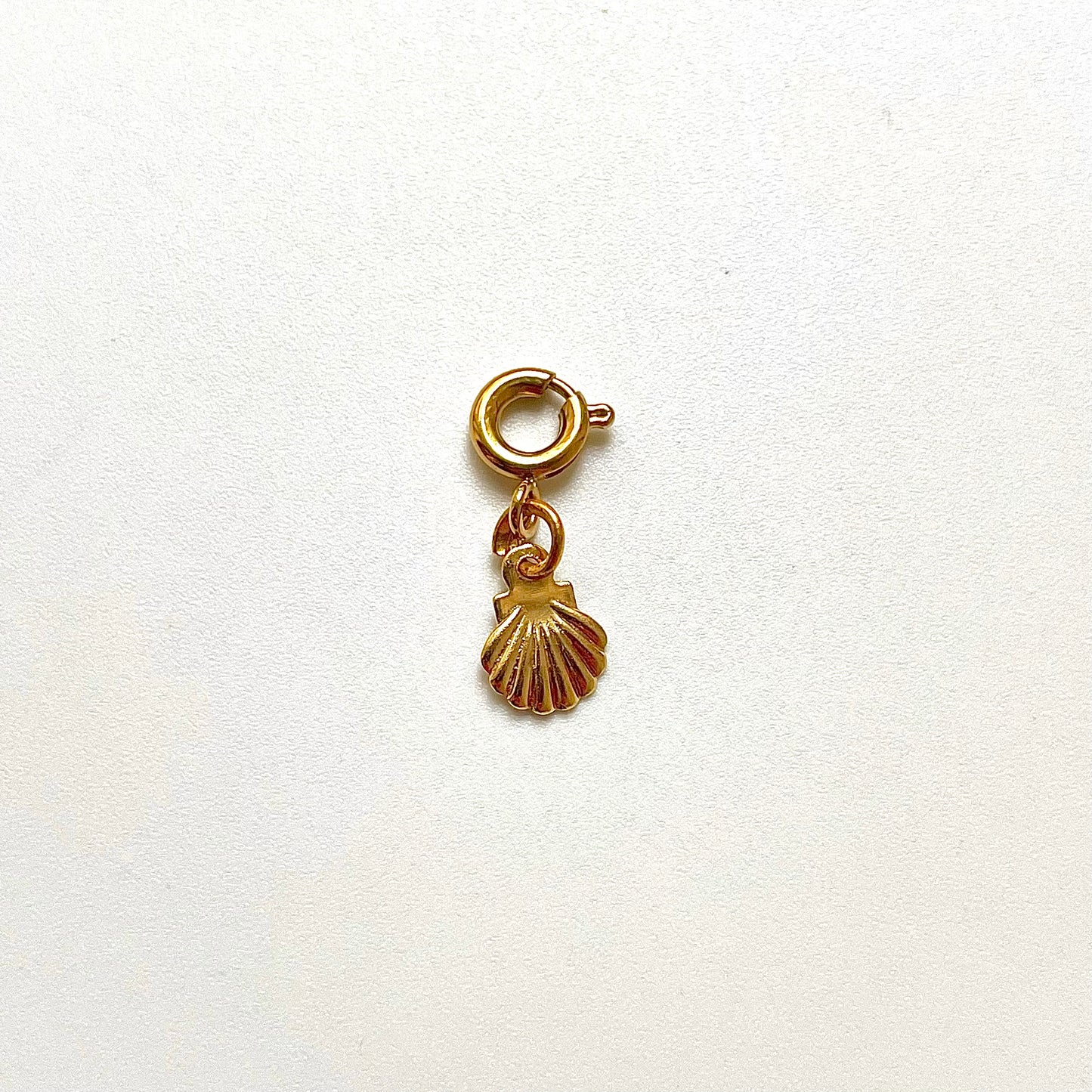 Seashell Charm